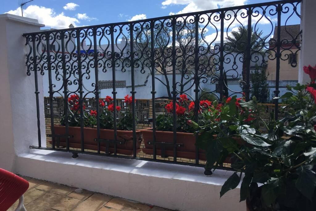 Geranium House Vila Sevilha Exterior foto